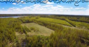 23627933926372-310x165 دعای سریع الاجابه و مجرب الحاح برای پافشاری بر خواسته و حاجت  