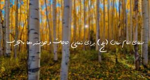 238627360390673-310x165 دعای امام زمان (عج) برای تمامی حاجات و خواسته ها مجرب  