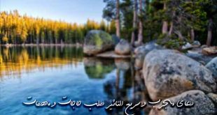 28067323906702-310x165 دعای مجرب و سریع التاثیر طلب حاجات و مهمات  