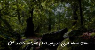 2386070623792603-310x165 دعای اسماء حسنی از پیامبر اسلام حضرت محمد (ص)  