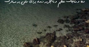 278363796027396207-310x165 دعا و مناجات عظیم و تجربه شده برای رفتن به مسافرت  