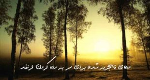 7236763960739067-310x165 دعای تجربه شده برای سر به راه کردن فرزند  