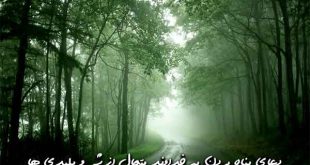 23607026309760767-310x165 دعای پناه بردن به خداوند متعال از شر و پلیدی ها  