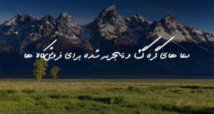 23786306923607-310x165 دعا های گره گشا و تجربه شده برای فروش کالا ها  