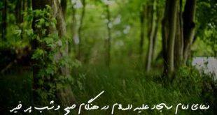 273860370967673-310x165 دعای امام سجاد علیه السلام در هنگام صبح و شب پر خیر  