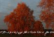 2863076309360-110x75 دعای عظیم در امان ماندن از خطر زمین لرزه و زلزله مجرب  