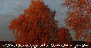 2863076309360-310x165 دعای عظیم در امان ماندن از خطر زمین لرزه و زلزله مجرب  