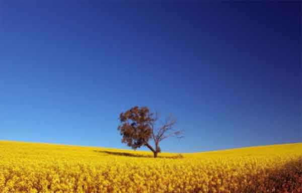720836736207396237 دعای قوی و عظیم برای دفع وسوسه و رهایی از شیطان  