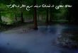 207836369263207-110x75 دعای رهایی از زندان و بند سریع الاثر و مجرب  