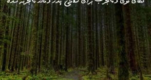 278360370637902637-310x165 دعای قوی و مجرب برای سلامتی پدر و مادر تجربه شده  