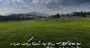 7836208637029623607-310x165 دعا های مجرب برای زیاد شدن برکت سفره و موفقیت در کسب روزی  