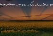 2738063092637029637-110x75 دعای روز دوشنبه پرخیر و برکت برای طلب حاجات و مهمات  