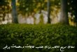 27836078367290387-110x75 دعای سریع الاجابه برای طلب حاجات و مهمات پرخیر  