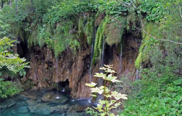 280783062736083 دعا و دستور مجرب برای شفای درد ها و بیماری های سخت  