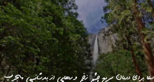 250738062372093670637-310x165 دعا برای درمان سریع چشم زخم و رهایی از بدشانسی مجرب  