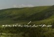 0283683628368037-110x75 دستور مجرب و پرخیر و برکت برای شفای بیماری ها  