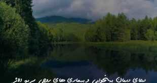 203682637802620638-310x165 دعای درمان بیخوابی و بیماری های روحی سریع الاثر  