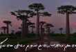 0328360783602637-110x75 دعای عظیم و مجرب برای رفع اندوه غم و تلخی های زندگی  