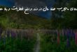 0263786372073867-110x75 دعای مجرب حفظ مال از دزد و دفع خطرات و بلا ها  