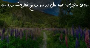 0263786372073867-310x165 دعای مجرب حفظ مال از دزد و دفع خطرات و بلا ها  