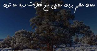 0320863706380-310x165 دعای عظیم برای سلامتی دفع خطرات و بلا ها قوی  