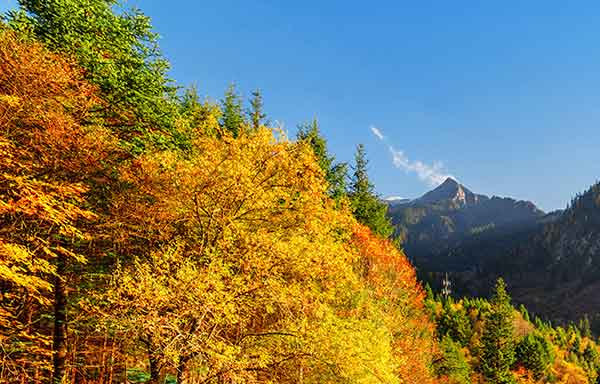 062363786203786027 نماز عظیم با پاداش بزرگ برای عاقبت بخیری و آمرزش  