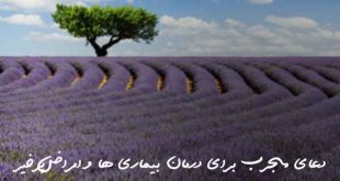 2037062308637802637-310x165 دعای مجرب برای درمان بیماری ها و امراض پرخیر  