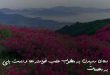 70230860736802-110x75 دعای رسیدن به مطلوب طلب خواسته ها و دست یابی به مهمات  
