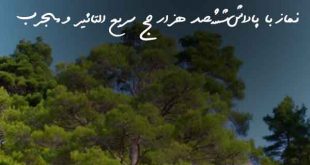 8026876302673-310x165 نماز با پاداش ششصد هزار حج سریع التاثیر و مجرب  
