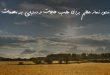 02368702676027-110x75 دستور نماز عظیم برای طلب حاجات و دستیابی به مهمات  