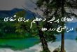 082367386027382607-110x75 دعای پرخیر و عظیم برای شفای امراض و درد ها  