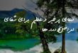 082367386027382607-110x75 دعای پرخیر و عظیم برای شفای امراض و درد ها  