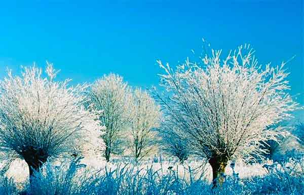 028338702387 ادعیه قوی برای دفع استرس و رهایی از تپش قلب مجرب  