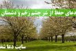 دعای-حفظ-از-شر-چشم-زخم-و-دفع-شر-دشمنان-و-جن-و-انس-110x75 دعای حفظ از شر چشم زخم و دفع شر دشمنان و جن و انس  