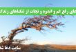 دعای-رفع-غم-و-اندوه-و-نجات-از-تنگناهای-زندگی-و-برطرف-شدن-رنج-110x75 دعای رفع غم و اندوه و نجات از تنگناهای زندگی و برطرف شدن رنج  