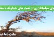 دلیل-سوزاندن-بخور-هنگام-نوشتن-دعا-اسامی-بخور-اصلی-دعانویسی-110x75 دعای سپاسگذاری از نعمت های خداوند با معنی  