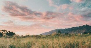 دعا-برای-شفای-دل-درد-310x165 دعا برای درد شکم و دل پیچه های شدید مجرب  