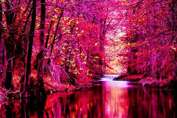 دعا-های-درمان-کووید-19 دعای رفع بیماری کرونا یا کووید 19 مجرب  