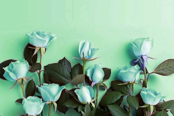 دعا-برای-مال-و-فرزند-حلال-و-رفع-پلیدی-ها-و-بدی-ها دعا برای مال و فرزند حلال و رفع پلیدی ها و بدی ها  