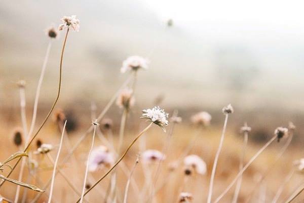 دعا-دفع-شدائد-مشکل دعای عبور از مشکلات زندگی زناشویی  