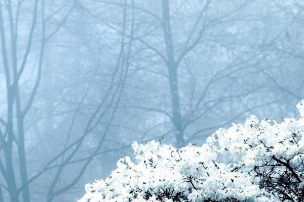 دعای-دفع-دشمنی-و-اختلاف دعای رفع جدال و دشمنی و رفع بلا در خانه  