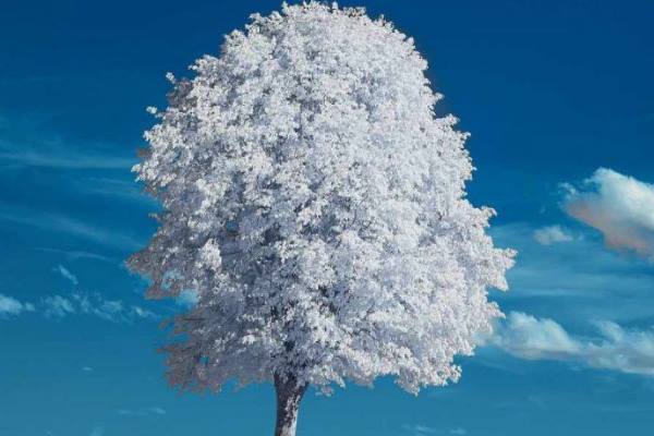 دعا-برای-بدست-آوردن-گنج-بزرگ-و-ثروت دعا برای بدست آوردن گنج بزرگ و ثروت  