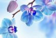 دعای-ثروتمند-شدن-1-110x75 دعای به دست آوردن روزی و رسیدن به رزق بی پایان  