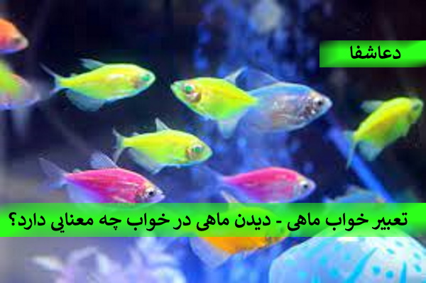 images-31 تعبیرخواب ماهی - دیدن ماهی در خواب چه معنایی دارد؟  