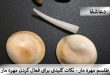 8566681_441-110x75 طلسم مهره مار - نکات کلیدی برای فعال کردن مهره مار  