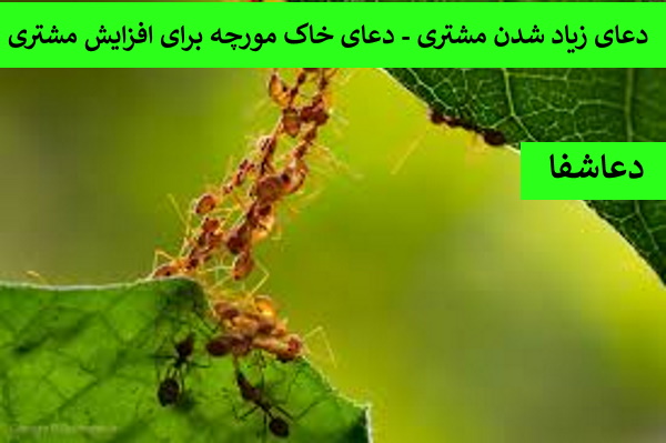 مورچه2 دعای زیاد شدن مشتری - دعای خاک مورچه برای افزایش مشتری  