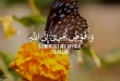 معنی-آیه-و-افوض-امری-الی-الله-انّ-الله-بصیر-بالعباد-با-شرح-و-ترجمه-110x75 معنی آیه و افوض امری الی الله انّ الله بصیر بالعباد با شرح و ترجمه  