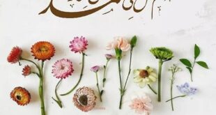 طریقه-ختم-چهارده-هزار-صلوات-برای-ائمه-معصومین-برای-طلب-حاجات-310x165 طریقه ختم چهارده هزار صلوات برای ائمه معصومین برای طلب حاجات  