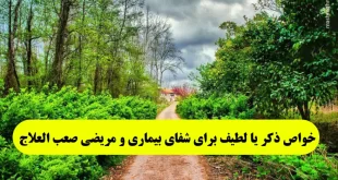 خواص-ذکر-یا-لطیف-برای-شفای-بیماری-و-مریضی-صعب-العلاج-310x165 خواص ذکر یا لطیف برای شفای بیماری و مریضی صعب العلاج  