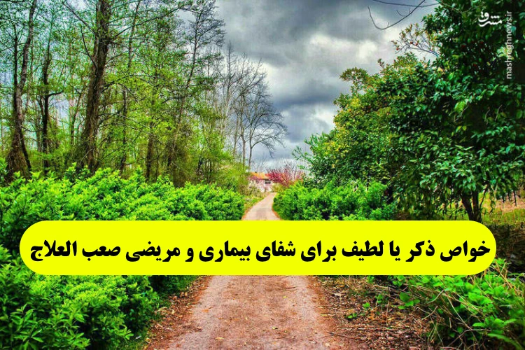 خواص-ذکر-یا-لطیف-برای-شفای-بیماری-و-مریضی-صعب-العلاج خواص ذکر یا لطیف برای شفای بیماری و مریضی صعب العلاج  